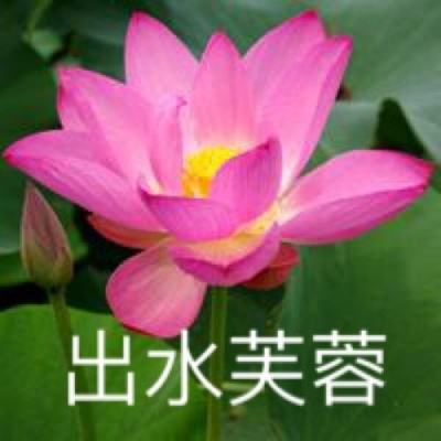 大话三国最新九游版下载